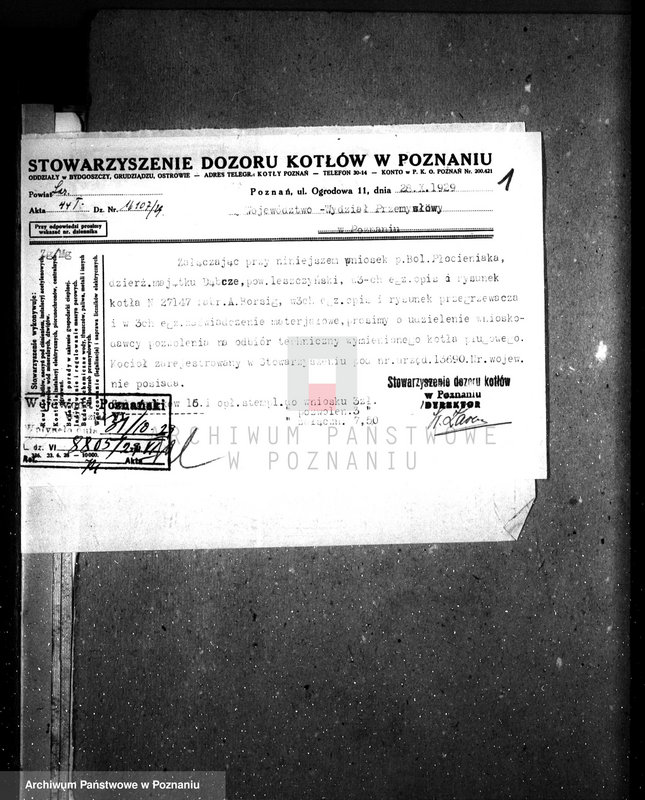 Obraz 5 z jednostki "Majętność Dąbcze B. Płócieniaka, pow. leszczyński nr woj. kotła 6379"