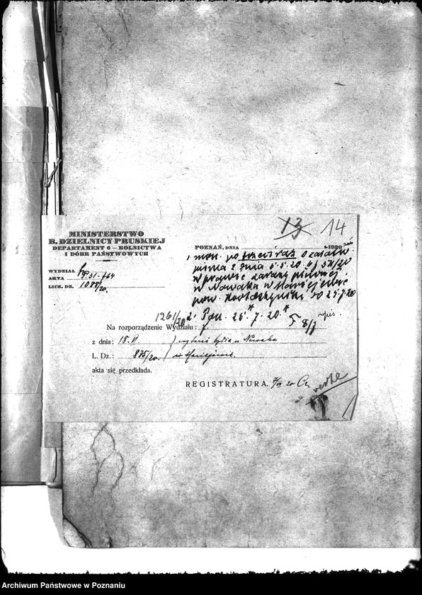 Obraz 18 z jednostki "Zaraza płucna - Krotoszyn"