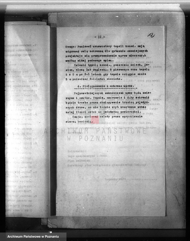 Obraz 14 z jednostki "Dodatkowy plan urządzania lasu dla lasu majątku Lubosz powiatu międzychodzkiego"