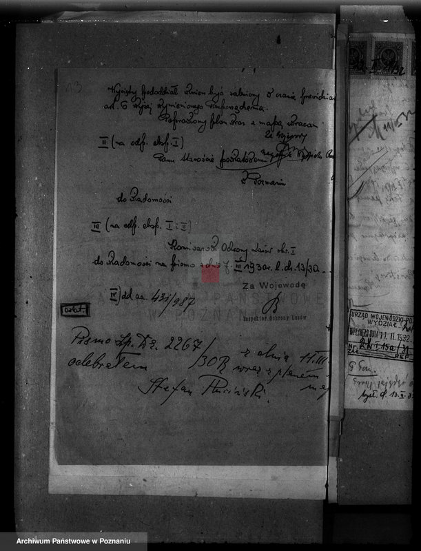 Obraz 17 z jednostki "Majętność leśna Swadzim powiat poznański"