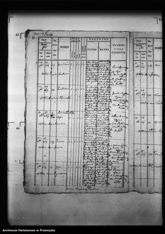 Obraz 15 z jednostki "[Kopie ksiąg metrykalnych parafii Wierzbiany (dekanat Niemirów)]"