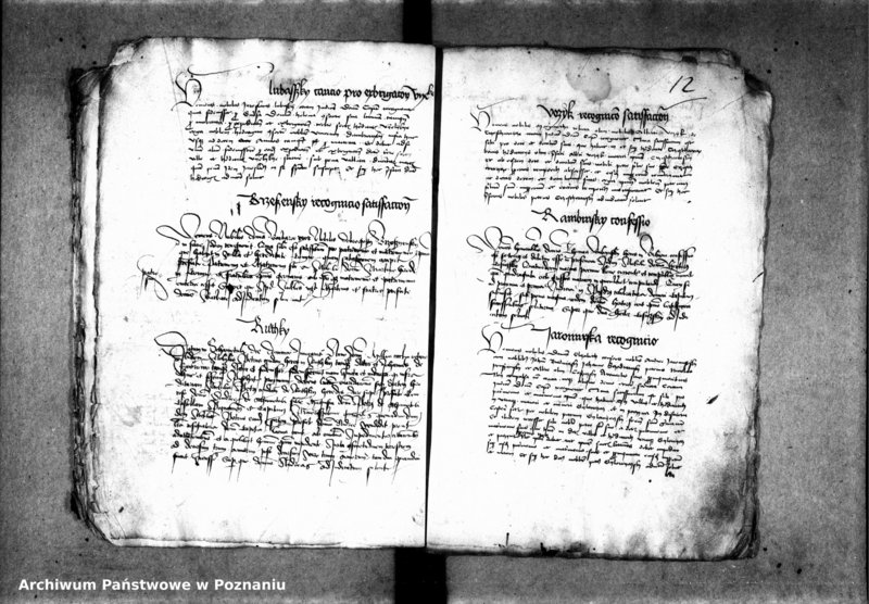 Obraz 17 z jednostki "Inscriptiones, relationes, decreta [protocollon]"