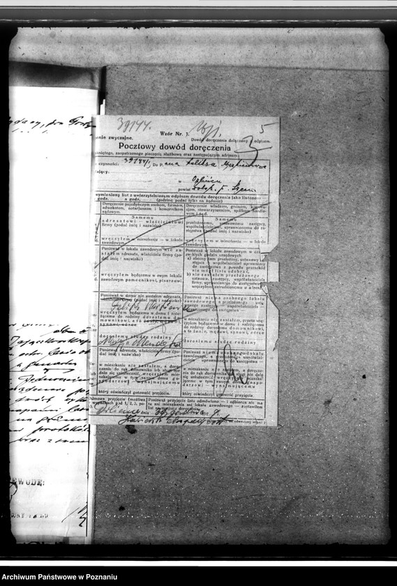 Obraz 9 z jednostki "Lasy majętności Wydawy w powiecie gostyńskim"