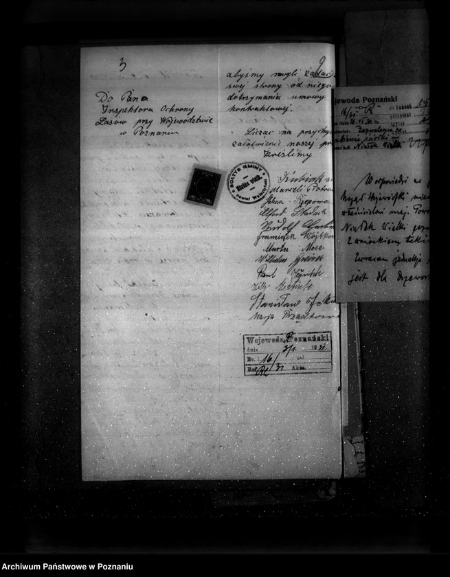 Obraz 7 z jednostki "Majętność leśna Powodowo powiat wolsztyński"