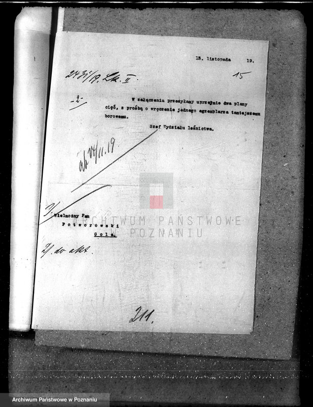 Obraz 18 z jednostki "Majętność leśna Gola w powiecie gostyńskim"