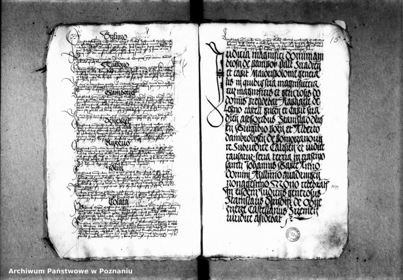 Obraz 20 z jednostki "Inscriptiones, relationes, decreta [inducta]"