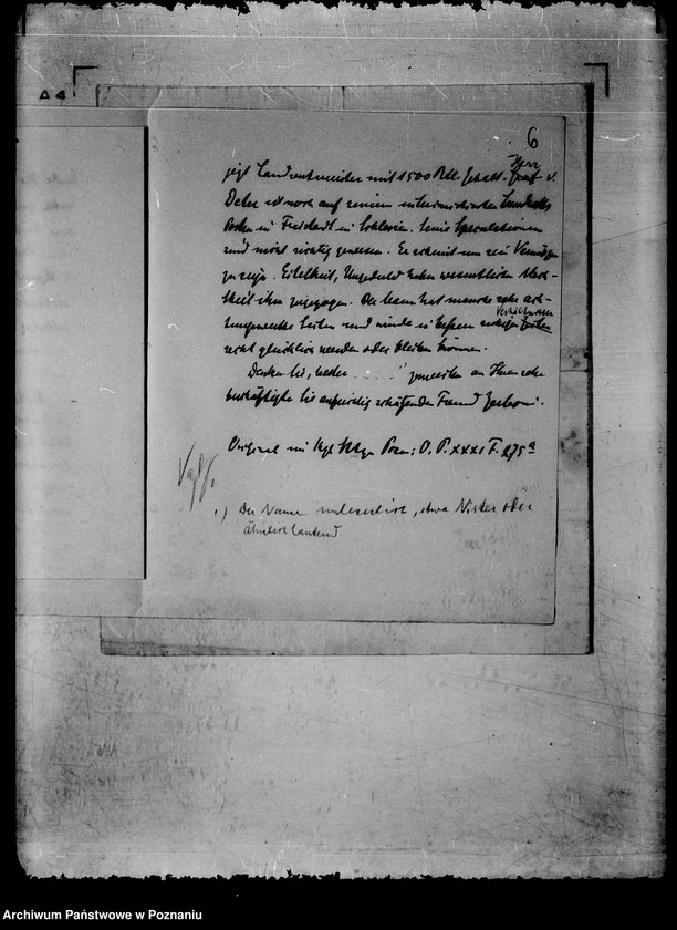 Obraz 10 z jednostki "/Dwa listy Zerboniego/."