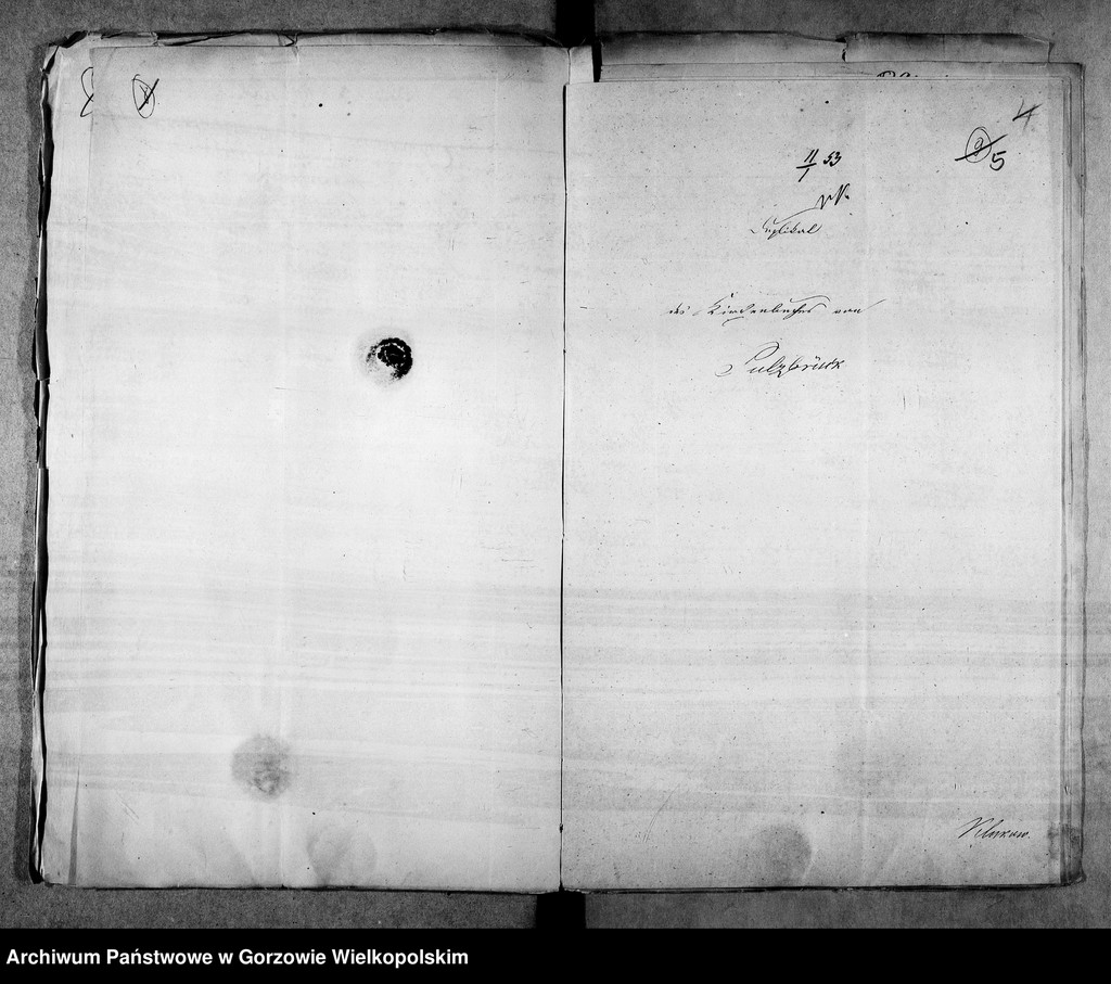 image.from.unit.number "Duplikate der Kirchenbücher von Pulsbrück (Pełczyska):zur Parochie Birkholz (Brzoza) gehörig"