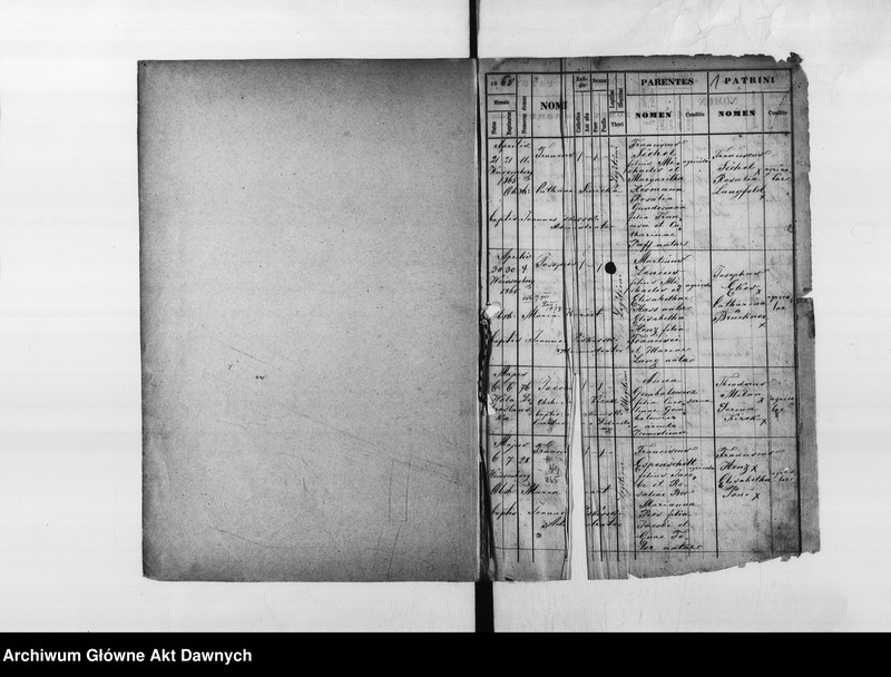 image.from.unit.number "Parafia: Białogóra (Weissenberg). Dekanat: Gródek Jagielloński. Księga metrykalna urodzeń dla całej parafii."