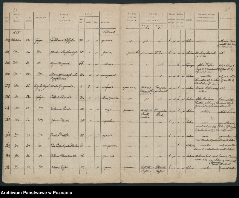 Obraz 13 z jednostki "Księga zgonów"