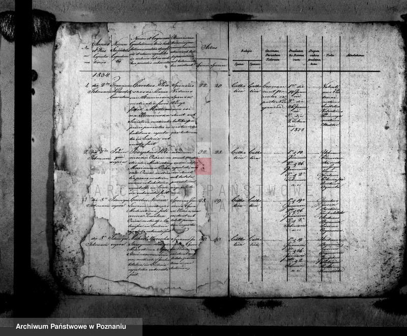 image.from.unit.number "Metrices copulatorum"