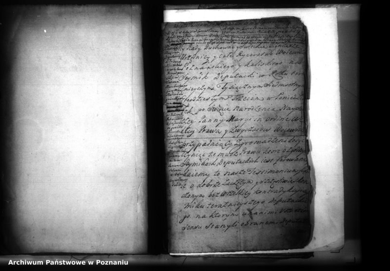 Obraz 3 z jednostki "Lauda [acticantia]"