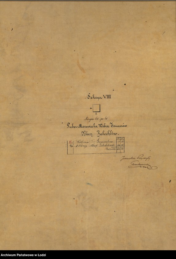Obraz 6 z jednostki "Plan dóbr skonfiskowanych Tomaszów Mazowiecki składających się z kluczy Żelechlin i Kopiec położonych w gubernii mazowieckiej powiecie rawskim"