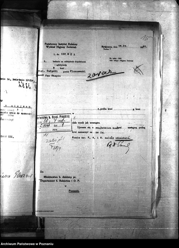 Obraz 19 z jednostki "Nosacizna - Pleszew"