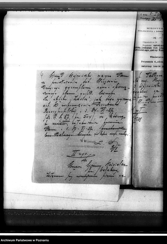 Obraz 10 z jednostki "Sprawa zmiany rodzaju użytków 0,63 ha gruntów leśnych we wsi Mycielin powiat kaliski"