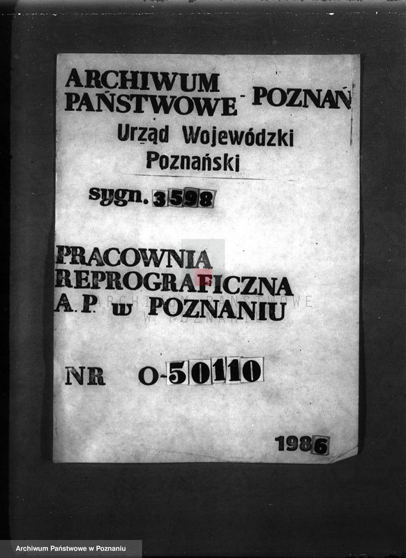 Obraz 1 z jednostki "Majętność leśna Niemierzewo w powiecie międzychodzkim"