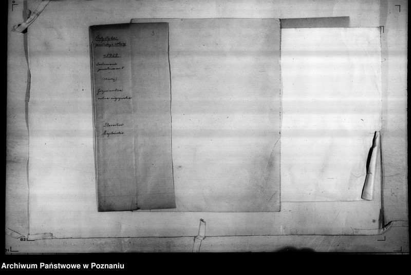 Obraz 5 z jednostki "/Statystyka produkcji rolnej - zestawienie powiatowe - Mogilno/"