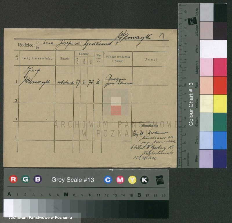 Obraz 5 z jednostki "Wdowczyk - Weber"