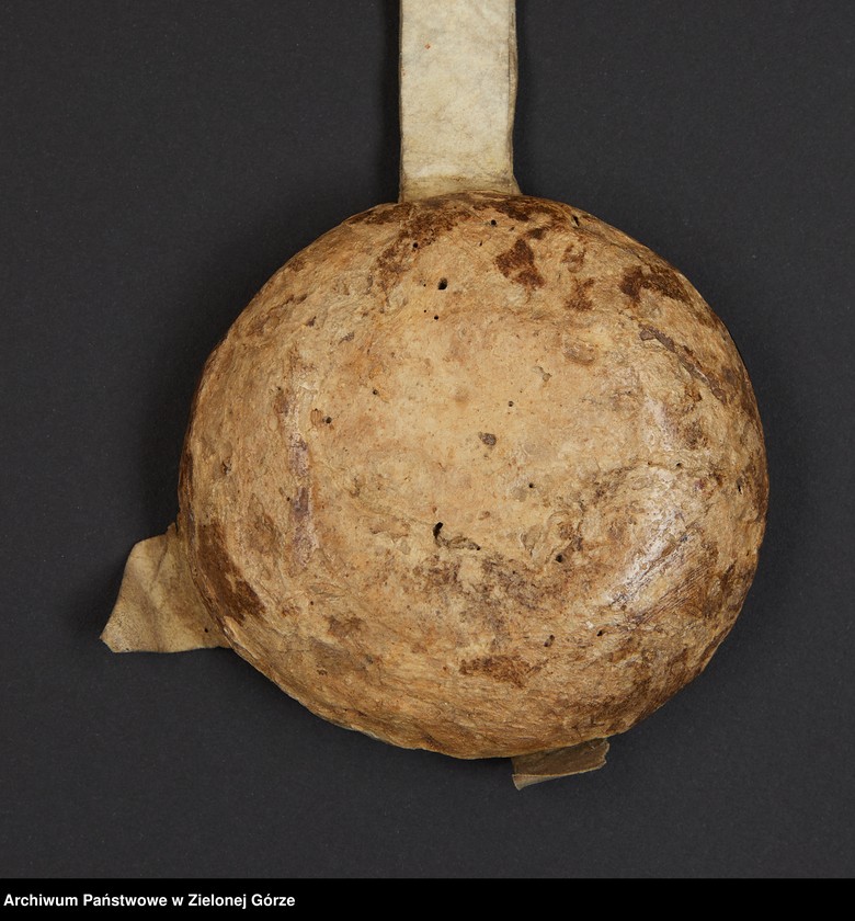 Obraz 7 z jednostki "Zygmunt, król polski, na prośbę międzyrzeczan, poleca poddanym mieszkającym na wsi a uprawiającym grunty miejskie, przenieść się do Międzyrzecza i"