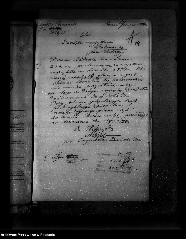 Obraz 18 z jednostki "Majętność leśna Rakoniewice powiat wolsztyński"