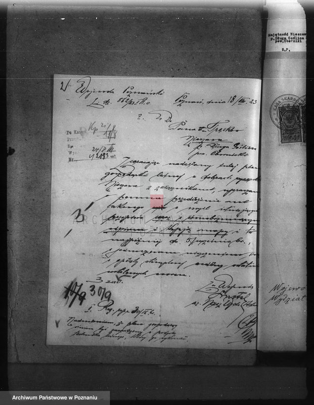 Obraz 6 z jednostki "Nadzór nad gospodarką w lasach majętności Nieszawa powiat obornicki"