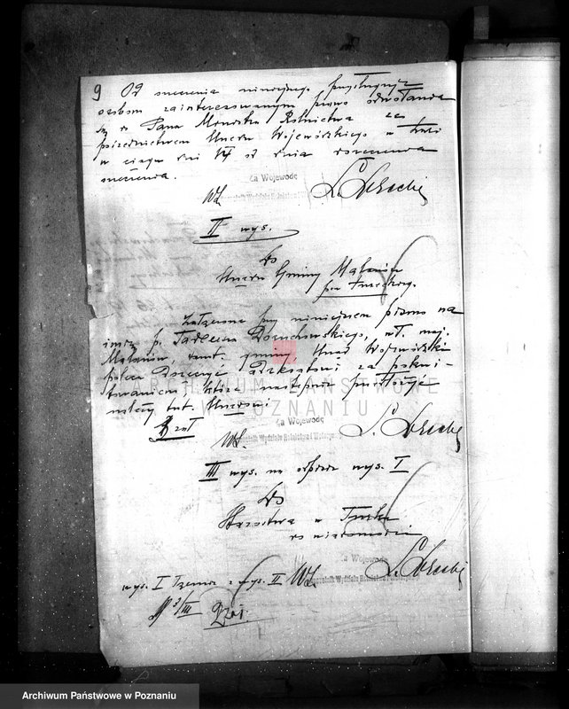 Obraz 13 z jednostki "Uznanie za ochronne powierzchni około 25 ha terenów leśnych pod nazwą,,Bibianna" należących do majątku Malanów powiat turecki"