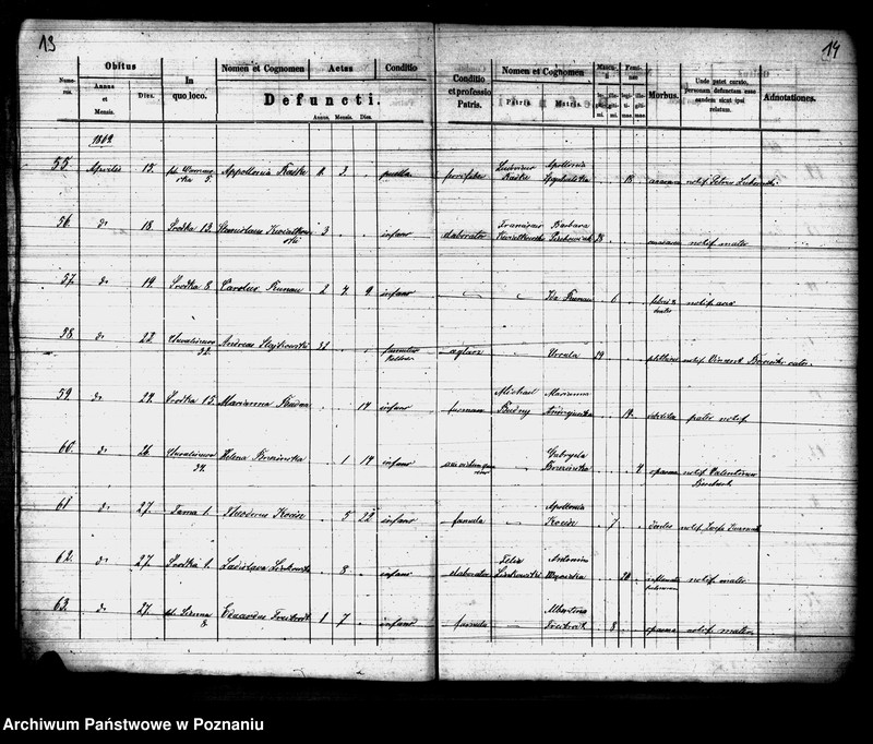 Obraz 8 z jednostki "Księga zgonów"