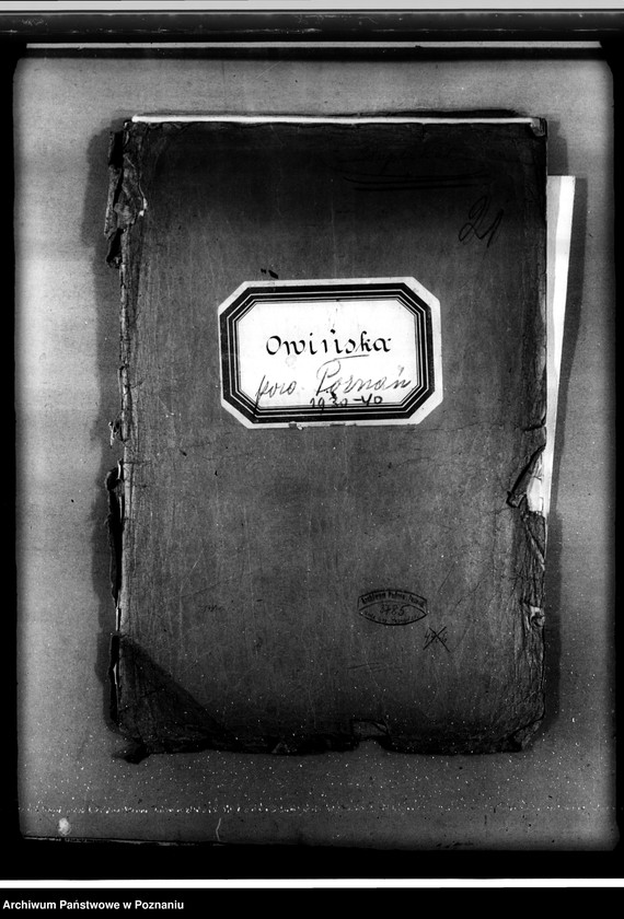 Obraz 4 z jednostki "Program urządzenia gospodarstwa leśnego lasu majętności Owińska powiat poznański"