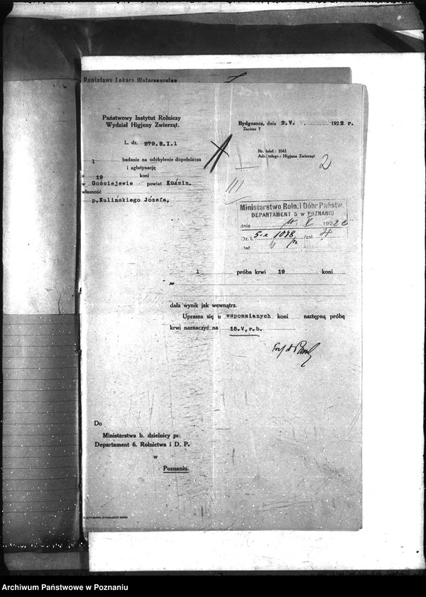 Obraz 6 z jednostki "Nosacizna - Koźmin"