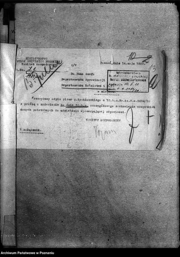 Obraz 15 z jednostki "Zboże uznane do siewu - ogólne sprawy"