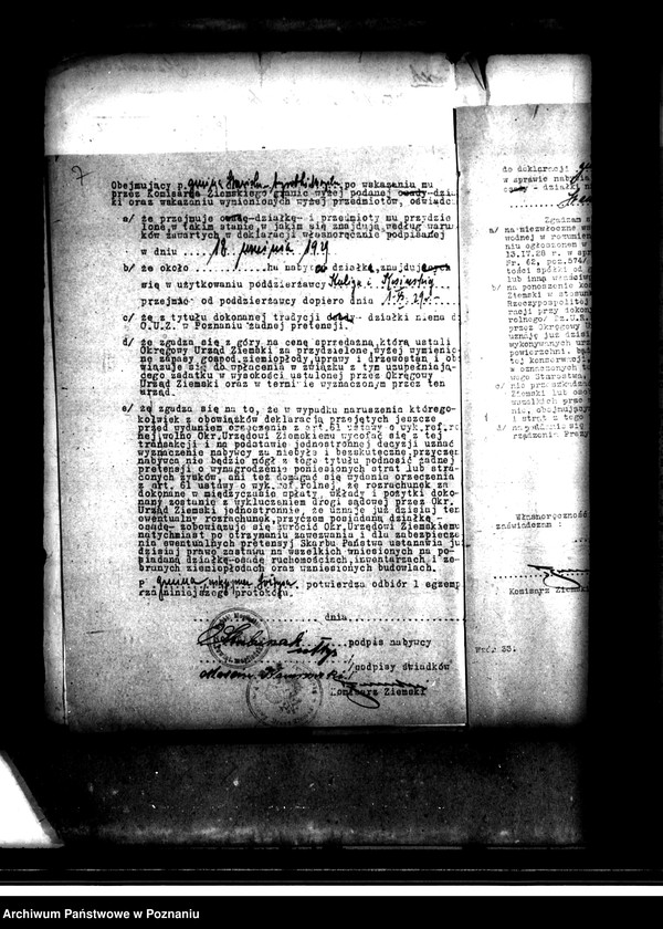 Obraz 11 z jednostki "Stawiska B 5 i 6 powiatu mogileńskiego /osada parcelacyjna/"