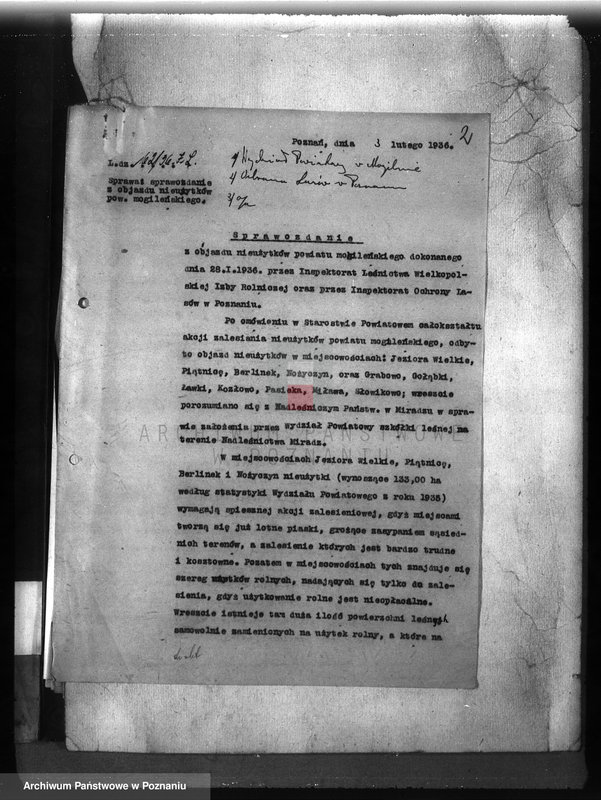 Obraz 6 z jednostki "Zalesienie nieużytków w powiecie mogileńskim"