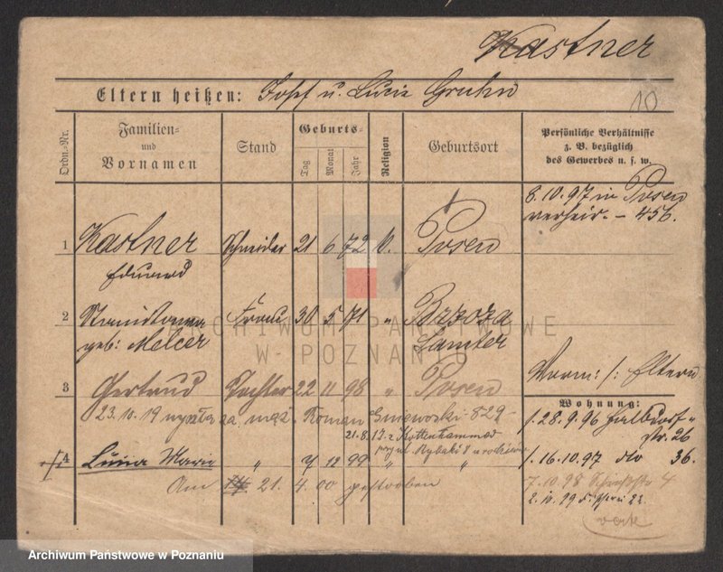 Obraz 10 z jednostki "Kaster - Katerla"