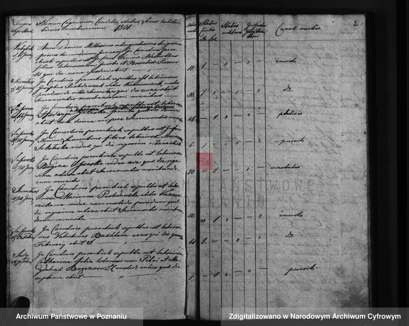 Obraz 4 z jednostki "Liber mortuorum"