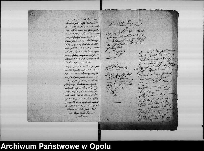 Obraz 11 z jednostki "Acta specialia des Magistrats zu Oppeln über die Herstellung der schadhaften Mauer um dem Apotheker Hemsalechschen Garten. de Anno 1838"