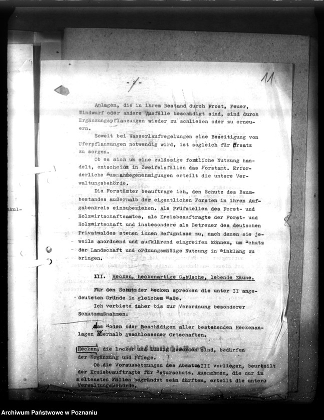 Obraz 15 z jednostki "Verordnungsblatt Nr. 41"