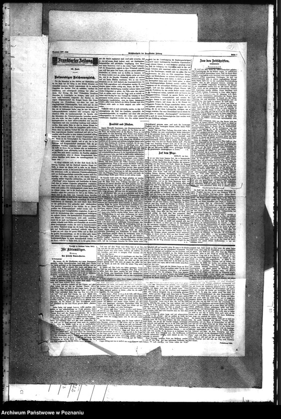 Obraz 16 z jednostki "Zarządzanie i gospodarowanie lasami gminnymi"