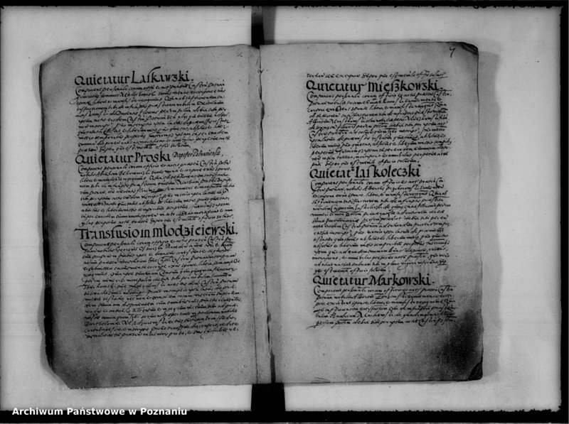 Obraz 10 z jednostki "Inscriptiones, relationes [inducta]"