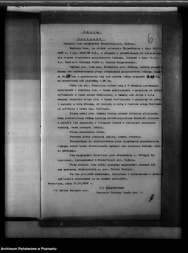 image.from.unit.number "Majętność leśna Kromolice powiat krotoszyński"