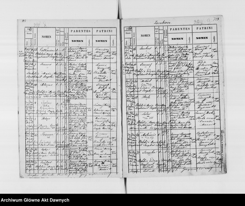 image.from.unit.number "Parafia: Ostapie (Grzymałów)*. Dekanat: Skałat. Księga metrykalna urodzeń tylko dla wsi Zarubińce. Tom I."