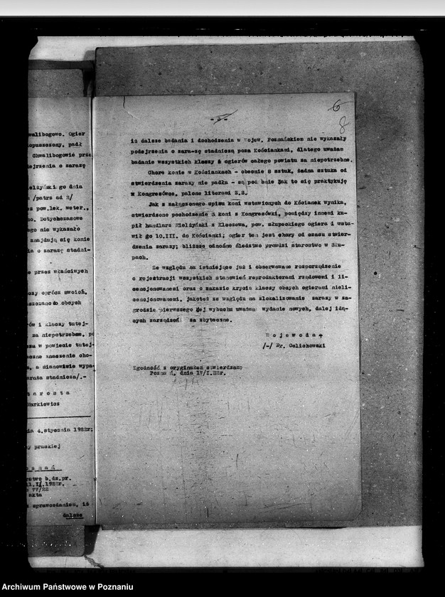 Obraz 13 z jednostki "Zaraza stadnicza"