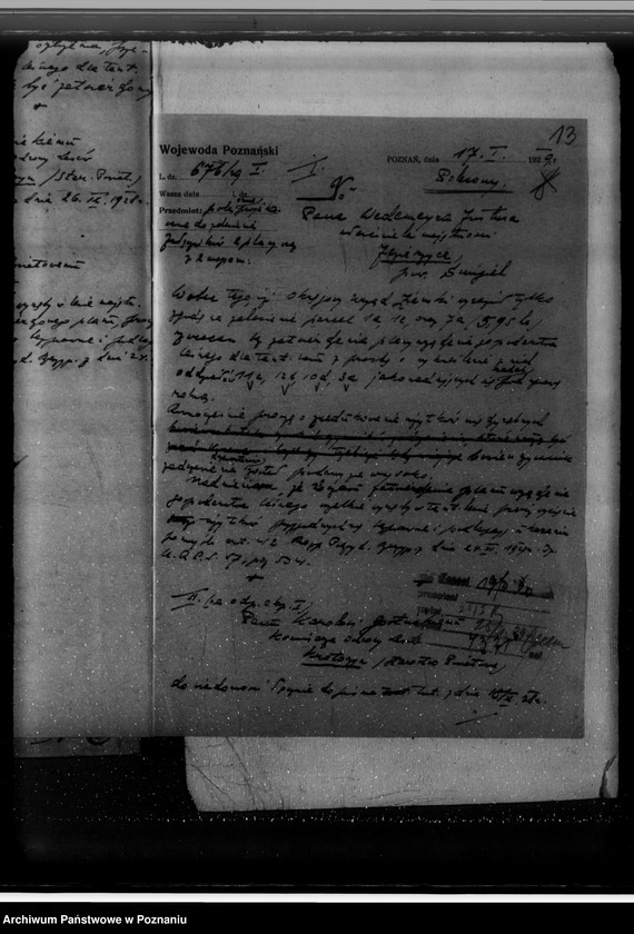 Obraz 17 z jednostki "Nadzór nad gospodarką w lasach majętności Jezierzyce"