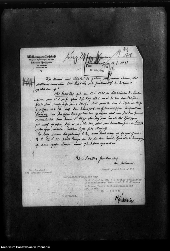 Obraz 19 z jednostki "Schriftwechsel aus verschiedenen Kreisen - w sprawie zmarłych miejscowych Niemców"