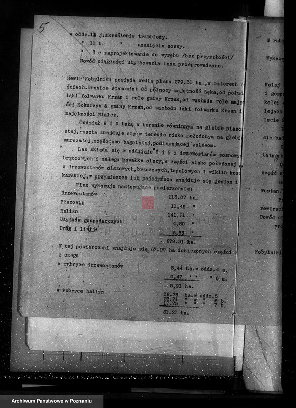 Obraz 9 z jednostki "Nadzór nad gospodarką w lasach majętności Kobylniki powiat kościański"