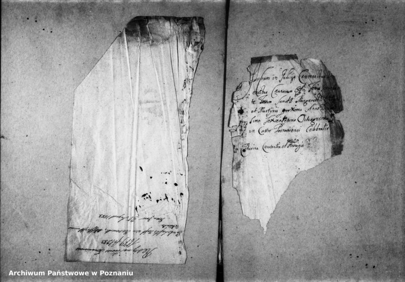 Obraz 4 z jednostki "Resignationes [inducta]"