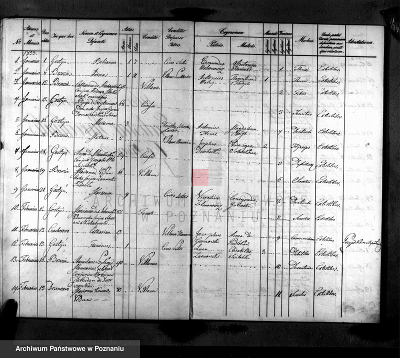 Obraz 20 z jednostki "Liber baptisatorum, copulatorum, mortuorum"
