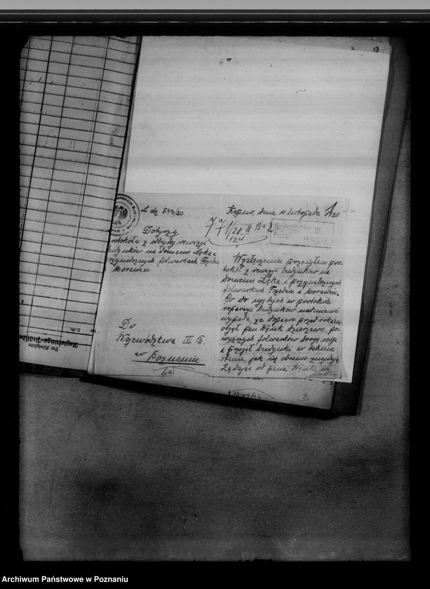 Obraz 5 z jednostki "Rewizje domeny Łęka"