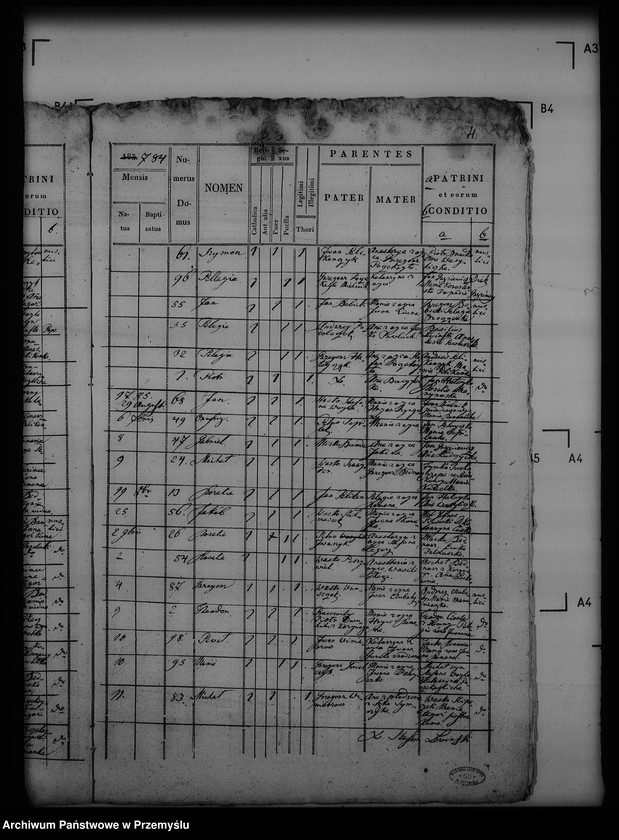 Obraz 8 z jednostki "[Kopie ksiąg metrykalnych parafii Trzcianiec (dekanat Bircza)]"
