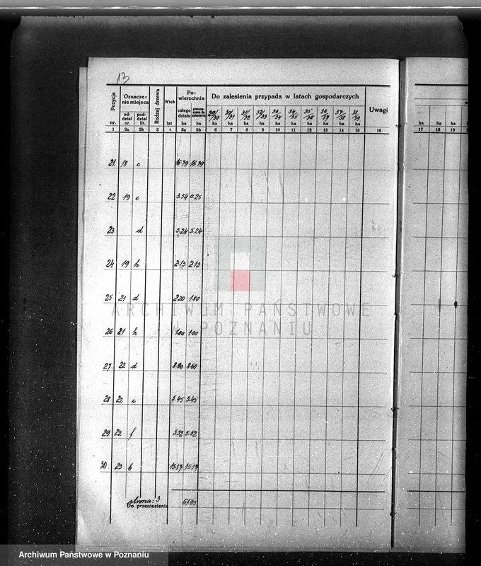 Obraz 17 z jednostki "/Opis lasu majętności Sławno w powiecie czarnkowskim/"