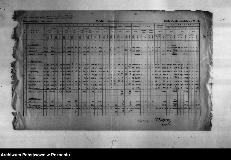 Obraz 10 z jednostki "/Statystyka produkcji rolnej - zestawienie zbiorów z 1930 r. z terenu powiatu kępińskiego/"